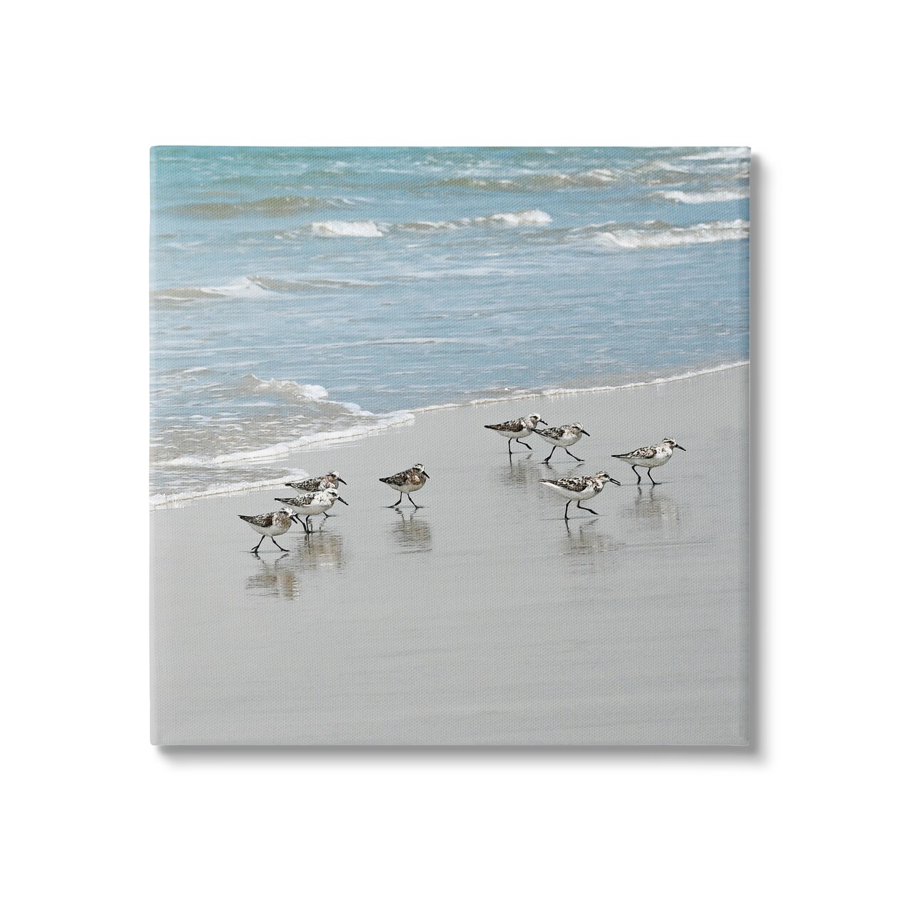 Stupell Industries Sandpipers Flock Beach Shore Canvas Wall Art